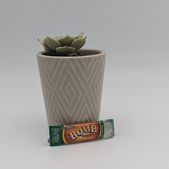 Zuru Mini Brands Other - Zuru Mini Brands The Bomb Burrito Toy